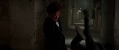 Nice moves, Fine. - Spy