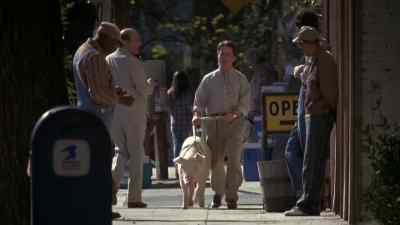 - Nice pig there, doc.
- Thank you. - Doc Hollywood