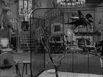 Nice place you've got here, Wednesday. - The Addams Family