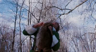 Nice raccoon! - Elf