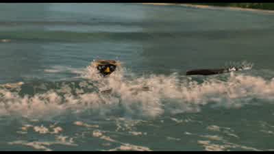 Nice ride, man. - Surf's Up