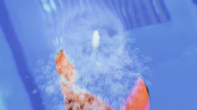 Dad? Daddy? Huh? Aah! Uhh! Uhh! - Finding Nemo
