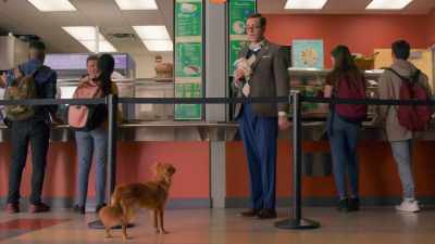 Nice to see you walking around
the cafeteria unattended. - The Healing Powers of Dude