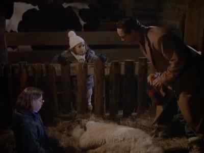Nice sheep. - A Christmas Romance