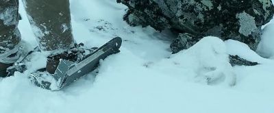 Nice shooting - Into the White