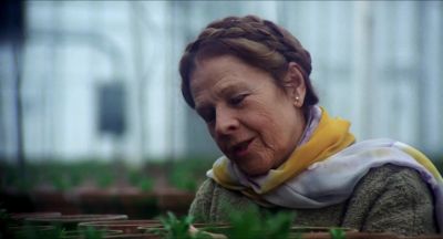 NICE TO MEET YOU - Harold and Maude