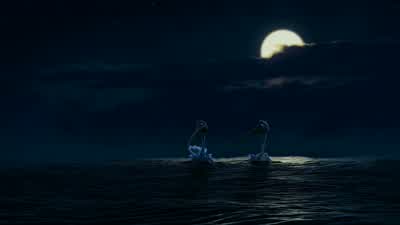 Nice - Finding Nemo