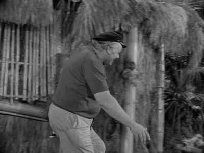 Nice work, Gilligan.
We did it. We did it. - Gilligan's Island