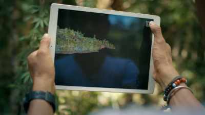 - Nice. Yeah.
- Look at that. - Lost Treasures of the Maya