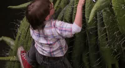 Nick, be careful! - Honey, I Shrunk the Kids
