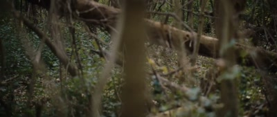 (Nick breathing hard) - Deep Woods