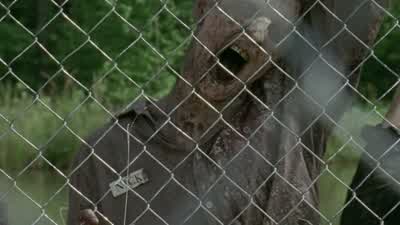 Nick, look over here. - The Walking Dead