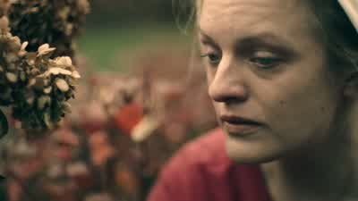 Nick is loyal, and he's been with us for a very long time. - The Handmaid's Tale