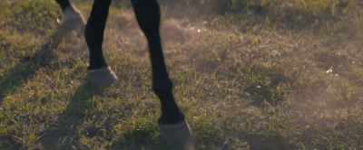 [nickering] - Black Beauty