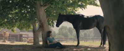 [nickers] - Black Beauty