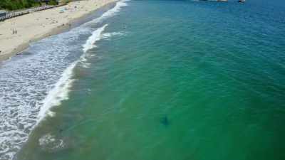 Nicknamed Shark Park, - Our Great National Parks