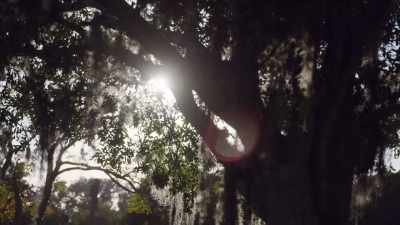 NICOLE: And all of a sudden, - Buried In The Backyard