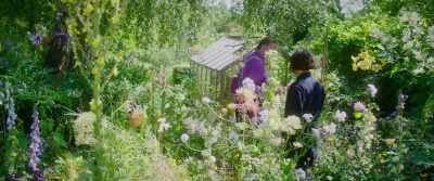 Nicotiana and hollyhocks. Come. - This Beautiful Fantastic