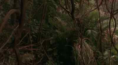NIGEL: This may be
a naive question, - Relic Hunter