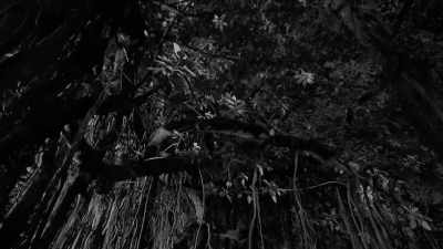 "Night is for me the time when
all my perceptions are alert, - The Witch of Kings Cross
