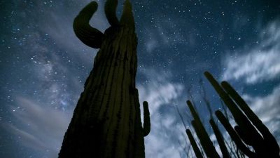 Nightfall brings relief from the heat... - Tiny World