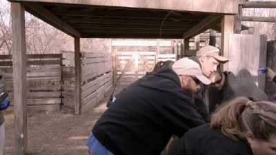 Nikki: Frequently when guests
come to the zoo, - Secrets of the Zoo