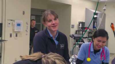 Nikki: Maybe katie will
put you on the paper - Secrets of the Zoo