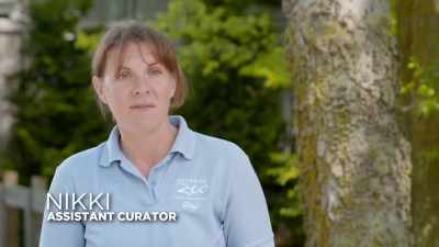 Nikki: So we were finally able
to coordinate a good time - Secrets of the Zoo