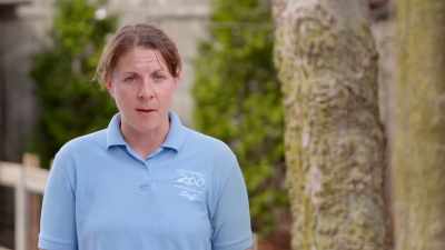 Nikki: There are just so many
questions that come up - Secrets of the Zoo