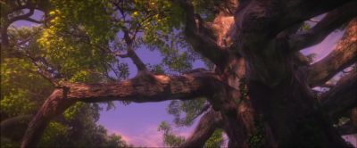 NIM: The scroll said
there was nothing - Epic