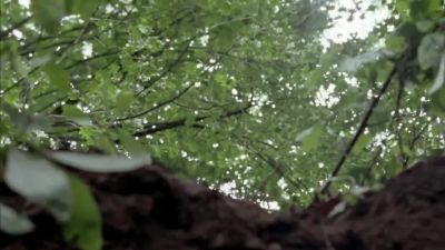 Nina. - Wrong Turn 2: Dead End