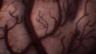 [Nina] The brain is like a computer - Human: The World Within