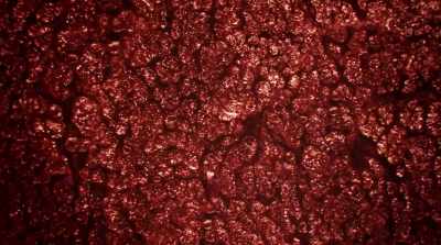 NINA: This ball of iron that is moving - Mars: One Day on the Red Planet