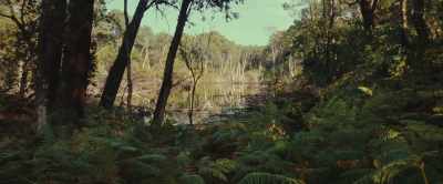 (Nina yelling echoing) - The Animal Kingdom