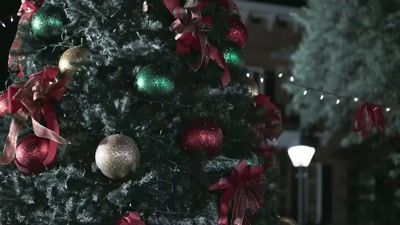 Nine, eight,
seven, six, five- - Christmas in Pine Valley