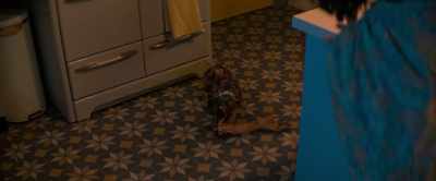 [Ninja growling] - The Loneliest Boy in the World