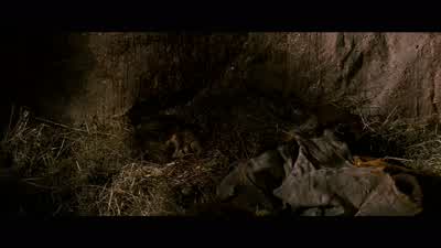 Nizam wants me dead. - Prince of Persia: The Sands of Time