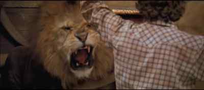 No advice commit oh god you're okay okay - Roar