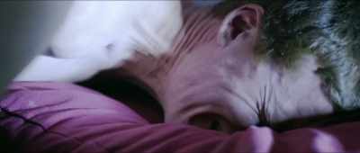- No, ah, fuck! (crying) - Abducted