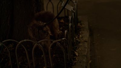 No answer.
Thanks, anyway. - Mr. Robot