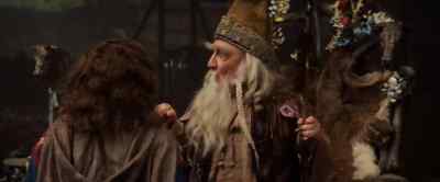 No apprentice this year! - Willow