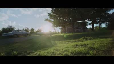 No, Bailey. - A Dog's Purpose