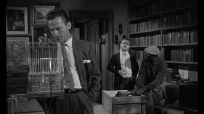 - No bird?
- Her roommate let it die. - Kiss Me Deadly