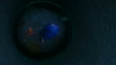 No, Bruce, focus. - Finding Nemo