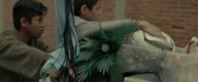 No, 'cause Estrella killed Caco,
so they're afraid. - Tigers Are Not Afraid