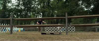 No. Cooper. Cooper, stop. - The Lucky One