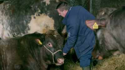 No, you couldn't. Right, up you get!
Come on. Come on, get up. - Our Yorkshire Farm