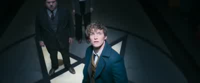 No creature did this. - Fantastic Beasts and Where to Find Them
