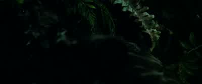 No crosswind. - The Predator