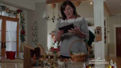 No, David Lyndon owns it now, - A Blue Ridge Mountain Christmas